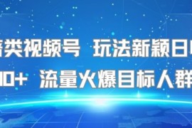 名著类视频号 玩法新颖日收益500  流量火爆目标人群广