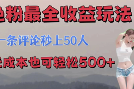 色粉最全收益玩法   一条评论秒上50人   无成本也可轻松500 