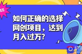如何正确的选择网创项目，达到月入过万？，本课程教你正确选择项目。