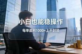 （17508期）2026新项目，小白也能稳操作，每单盈利1000 上不封顶