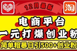 12月最新：电商平台1元打爆创业粉，简单粗暴日引500 精准创业粉，轻松月入过W【揭秘】