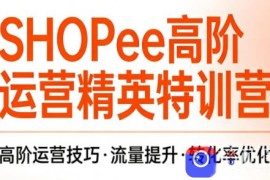梦凡老师·Shopee虾皮高阶运营课程(更新)