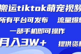 （9618期）搬运Tiktok萌宠类视频，一部手机即可。所有短视频平台均可操作，月入3W 