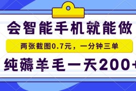 （13943期）会智能手机就能做，两张截图0.7元，一分钟三单，纯薅羊毛一天200 