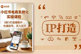 小红书流量变现系统化实操课程，0到1打造爆款IP，光速起号，月入过万