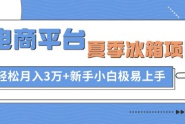 （10934期）电商平台夏季冰箱项目，轻松月入3万 ，新手小白极易上手