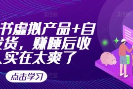 小红书虚拟产品 自动发货，赚睡后收入实在太爽了