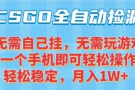 CSGO自动捡漏项目，最新独家玩法，一个手机可操作，新手小白轻松月入1W ，操作简单易上手【揭秘】