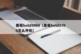 黑莓bold9900（黑莓bold9700怎么开机）