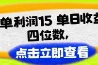 改手机套餐一单利润15，单日收益四位数，冷门蓝海项目