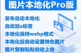 WordPress图片本地化nicen-localize-image最新版