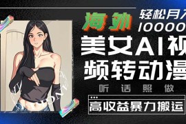 （10391期）海外美女AI视频转动漫，高收益暴力搬运，听话照做，轻松月入10000 