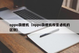 oppo旗舰机（oppo旗舰机和普通机的区别）