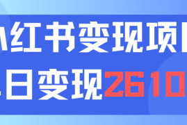 （11885期）利用小红书卖资料单日引流150人当日变现2610元小白可实操（教程 资料）
