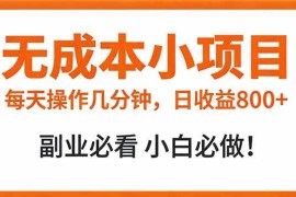 （17307期）无成本小项目 每天操作几分钟，真实日收益800  副业必看 小白必做！