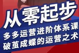 拼多多运营进阶系统课，从零起步，多多运营进阶体系课，破茧成蝶的运营之术（更新9月）