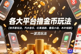 各大平台撸金币玩法(快手新玩法、汽水音乐、红果漫剧、番茄小说、木叶短剧)，一波流玩法(收费398元的教程)
