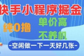 快手小程序掘金，纯0撸，单价高不养机 利用空闲时间做一做，一天好几张【揭秘】