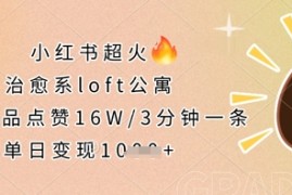 小红书超火的治愈系loft公寓，单条作品点赞16W，3分钟一条，单日变现数张