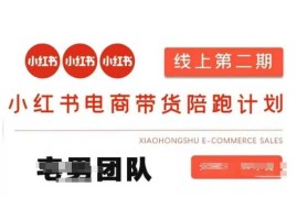 小红书电商带货课2期，月利润20个的小红书电商的有货源，无货源，虚拟产品，付费投流等整套玩法