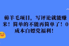 薅羊毛项目，写评论就能赚米！简单的不能再简单了！0成本白嫖党福利！