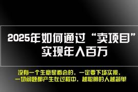 （13468期）2025年如何通过“卖项目”实现年入百万，做网创必看！！
