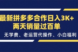 （11291期）最新拼多多合作日入3K 两天销量过百单，无学费、老运营代操作、小白福利