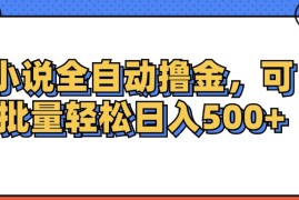 （12244期）小说全自动撸金，可批量日入500 