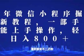 （14293期）微信小程序25年掘金玩法，一部手机就能操作，稳定日入800 ,适合所有人…