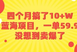 四个月搞了10 W的蓝海项目，一单59.9米，没想到卖爆了
