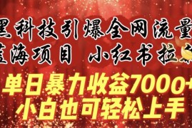 蓝海项目!黑科技引爆全网流量小红书拉新，单日暴力收益7000 ，小白也能轻松上手【揭秘】