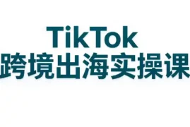 彭老师·TikTok跨境出海实操课