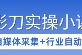 3天攻克影刀RPA：自媒体数据采集 行业自动化全流程