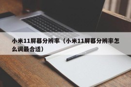 小米11屏幕分辨率（小米11屏幕分辨率怎么调最合适）