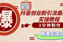 （12835期）轻松制作创业类视频。一天被动加精准创业粉500 （附素材）