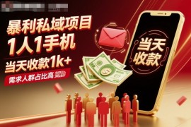 暴利私域项目1人1手机，当天收款1k ，需求人群占比高，当天就能见到钱