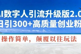 （14012期）AI数字人引流升级版2.0，日引300 高质量创业粉，操作简单，颠覆以往玩法