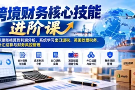 跨境财务核心技能进阶课：从建账核算到利润分析，系统学习出口退税、英国欧盟税务、外汇结算与财务风控管理