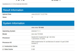 vivox11(vivox100pro)
