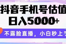 抖音手机号估值，日入5000 ，不露脸直播，小白秒上手【揭秘】