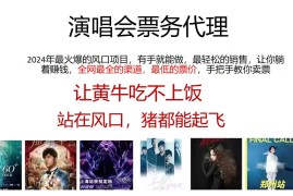 （11863期）演唱会全网最低票务代理，小白一分钟上手，手把手教你卖票，日入2000 …