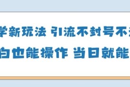 AI国学项目-零基础小白都能轻松上手-当天见收益
