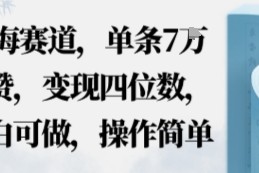 蓝海赛道，单条7W点赞，变现四位数，小白可做，操作简单