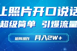利用AI工具制作小和尚照片说话视频，引爆流量，矩阵操作月入2W 