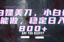 白嫖美刀，小白也能做，稳定日入800 