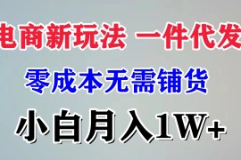 电商新玩法，一件代发，零成本无需铺货，小白月入1W 