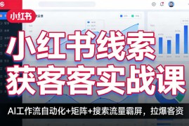 小红书线索获客实战课，AI工作流自动化 矩阵 搜索流量霸屏，拉爆客资
