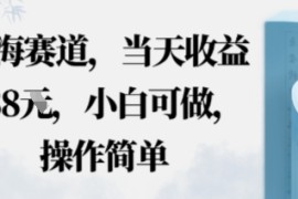 蓝海赛道，当天收益多张，小白可做，操作简单