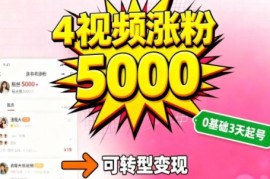 小红书暴力起号方法，四个视频涨粉5000，起号后可转型，操作简单，对小白友好