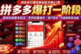 拼多多打爆班原创技术第61期，拼多多爆打一阶段，自动化起量全玩法・软件批量操作・投产优化・大促矩阵实战课